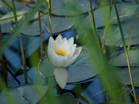 中奖喜悦